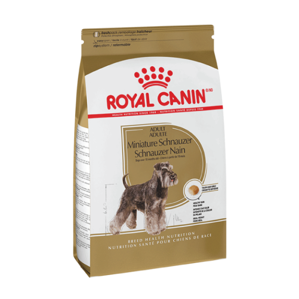 35_Schnauzer_Adult-rc