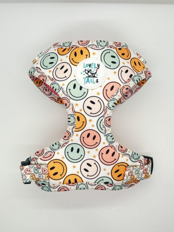 HARNESS-HAPPY-FACE