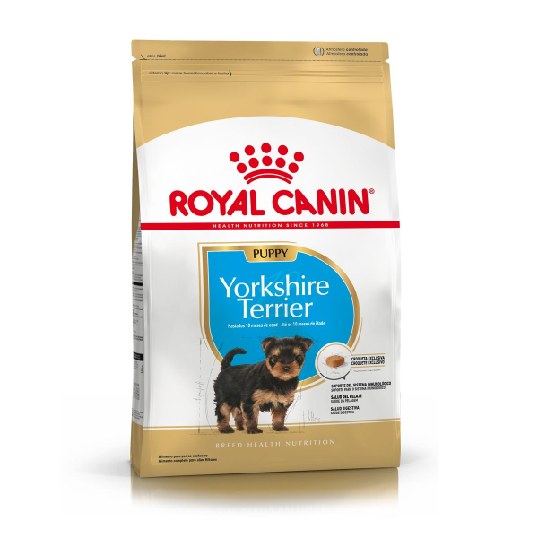 ar-l-producto-yorshkire-terrier-puppy-breed-health-nutrition-seco ar-l-producto-yorshkire-terrier-puppy-breed-health-nutrition-seco
